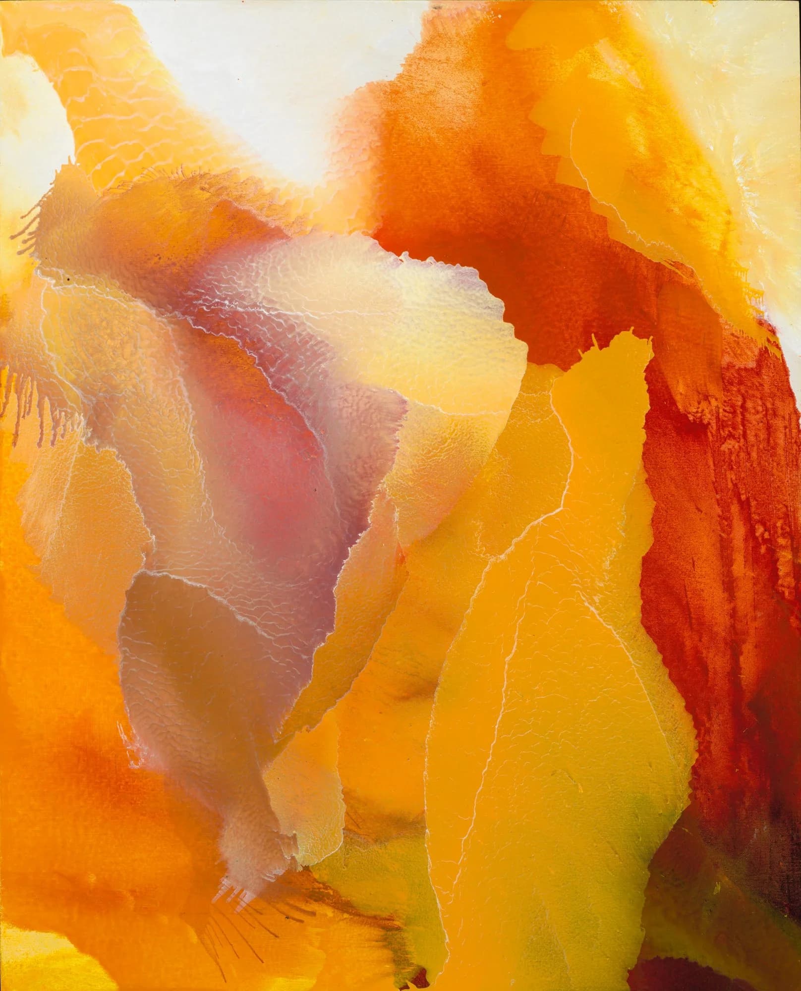 For the Love of Poppies